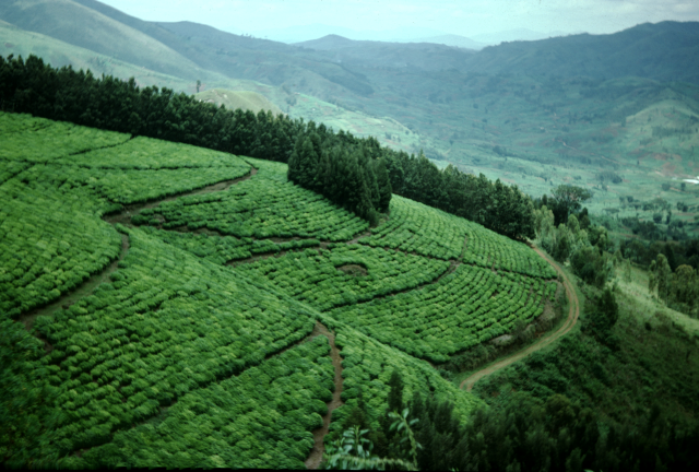 « Consommer local » : une autre forme de protectionnisme au Burundi